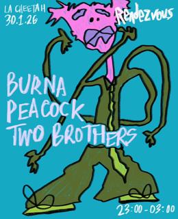 Rendezvous | Peacock, Burna & Two Brothers | La Cheetah