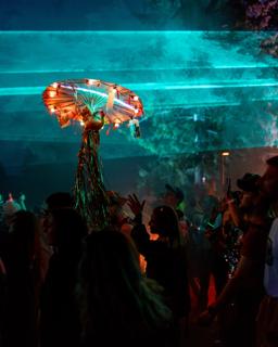 Last Dance - Las Festival