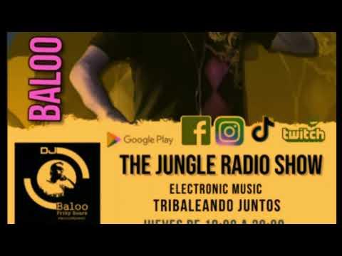The Jungle Radio Show Summer mix Pop Lasser fm