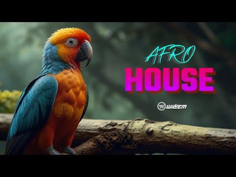 In Sessions #008 | Afro House Mix