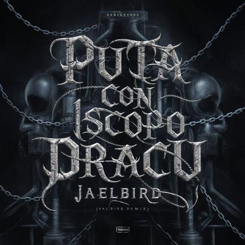 Puta Con 1 Scopo (Jælbird Remix)