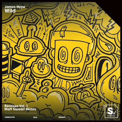 Wild (Matt Sassari Remix)