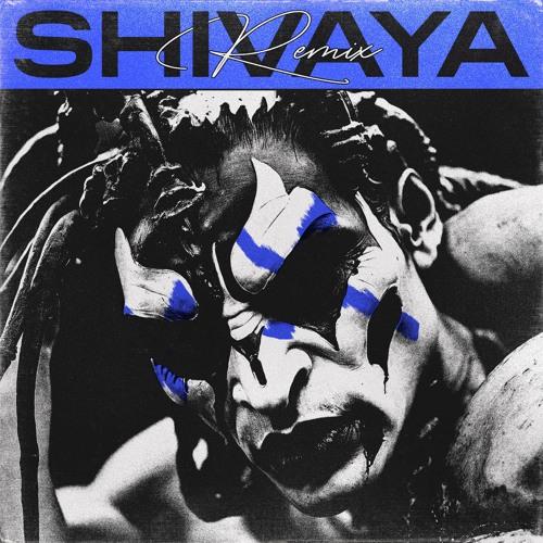 Shivaya (Per Pleks Remix)