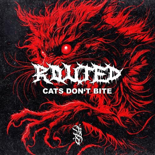Cats Don`T Bite