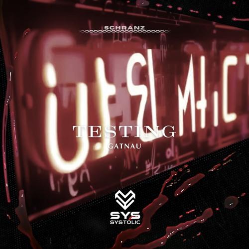 Testing (Original Mix)