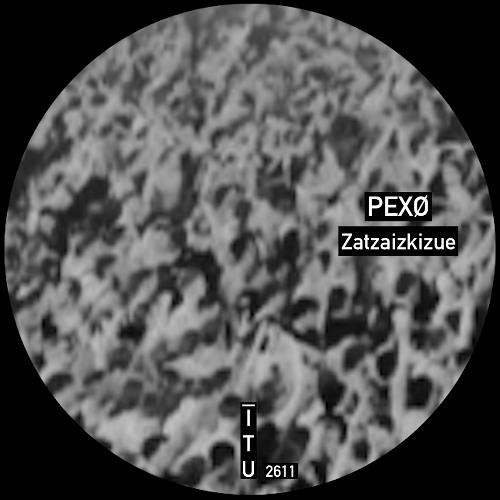Zatzaizkizue