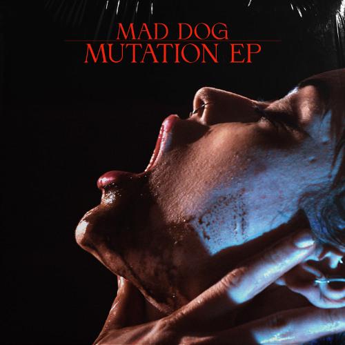 Blinding (Radio Edit)