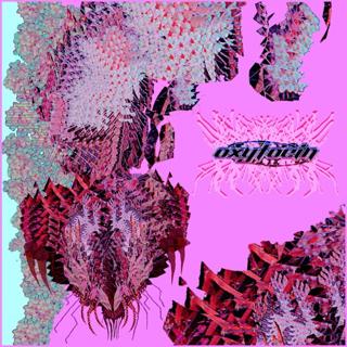 Visions Of A Guillotined Head