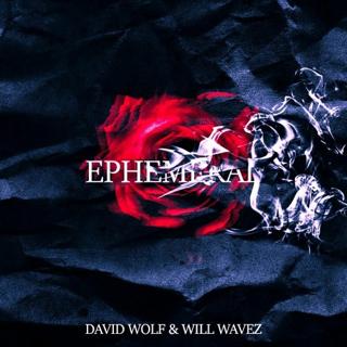 David Wolf & Will Wavez - Ephemeral