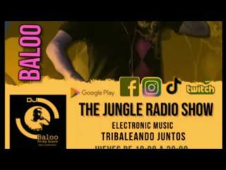 The Jungle Radio Show Summer mix Pop Lasser fm