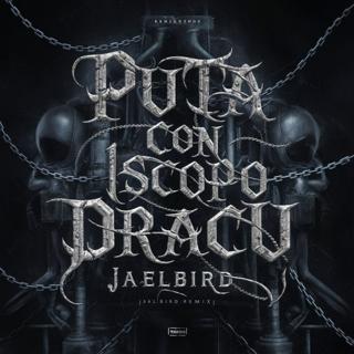 Puta Con 1 Scopo (Jælbird Remix)