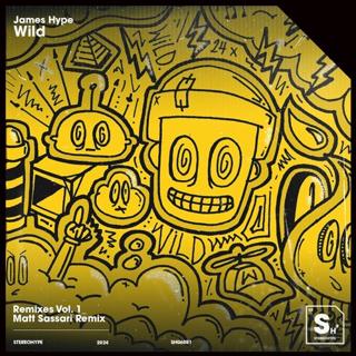 Wild (Matt Sassari Remix)