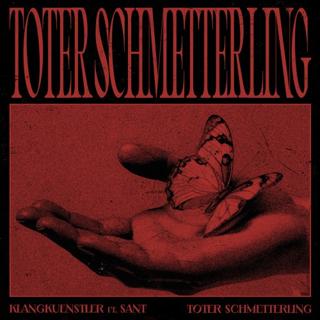 Toter Schmetterling