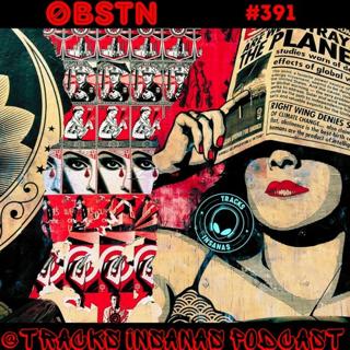 Øbstn - Tracks Insanas Records 391