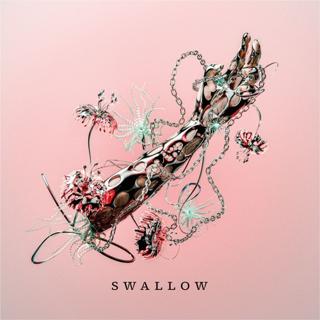 Swallow