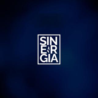 Sinergia Event I Edición