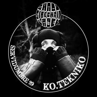 Servidumbre Serie 29