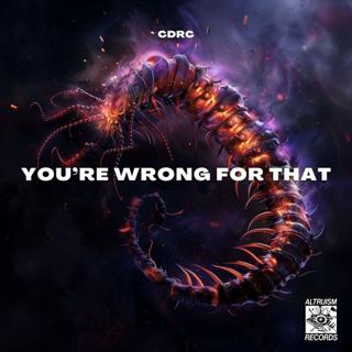 You'Re Wrong For That