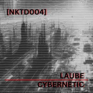 Cybernetic