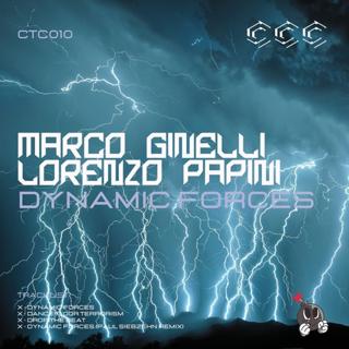 Dynamic Forces (Paul Siebzehn Remix)