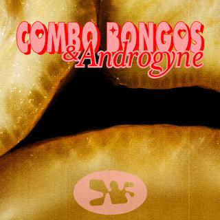 Combo Bongos & Androgyne - 1 March