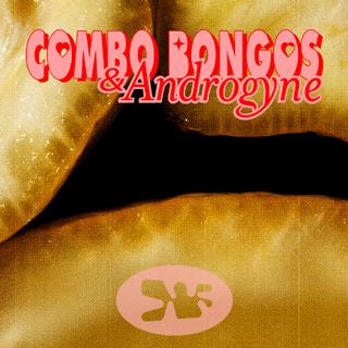 Combo Bongos & Androgyne - 1 March