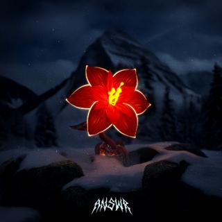 Là Où Les Fleurs Ne Poussent Plus