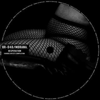 Light After Darkness