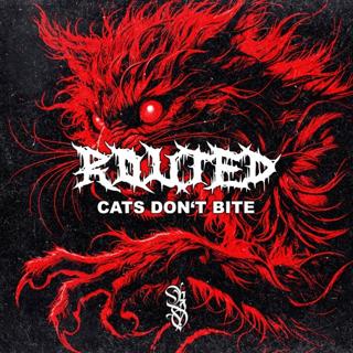 Cats Don`T Bite