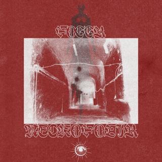 Necrofobia (Aklow Remix)