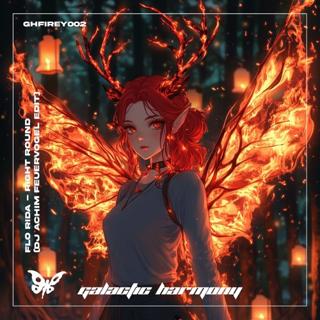 Flo Rida - Right Round (Dj Achim Feuervogel Edit)