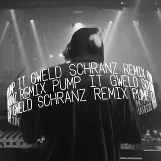 Black Eyed Peas - Pump It (Gweld Schranz Remix)