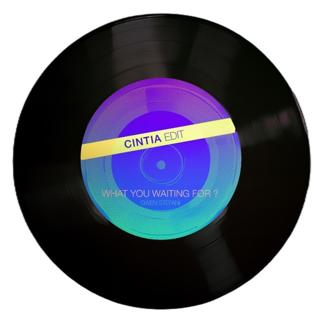 Gwen Stefani - What You Waiting For? (Cintia Edit)