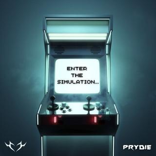 Enter The Simulation