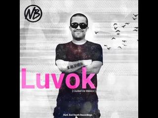 Nochesdeberlin 278 / Luvok