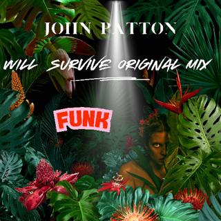 Will Survive (Original Mix)