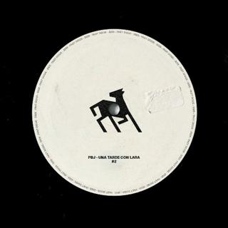 Una Tarde Con Lara