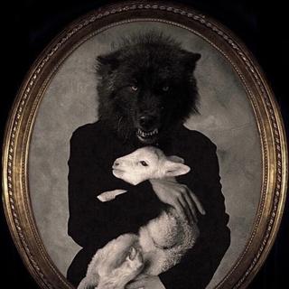 Calling Voice Of The Night