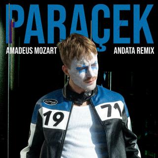 Amadeus Mozart (Andata Remix)