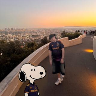 Peter Fox - Schüttel Deinen Speck (Niklas Dee Bootleg)