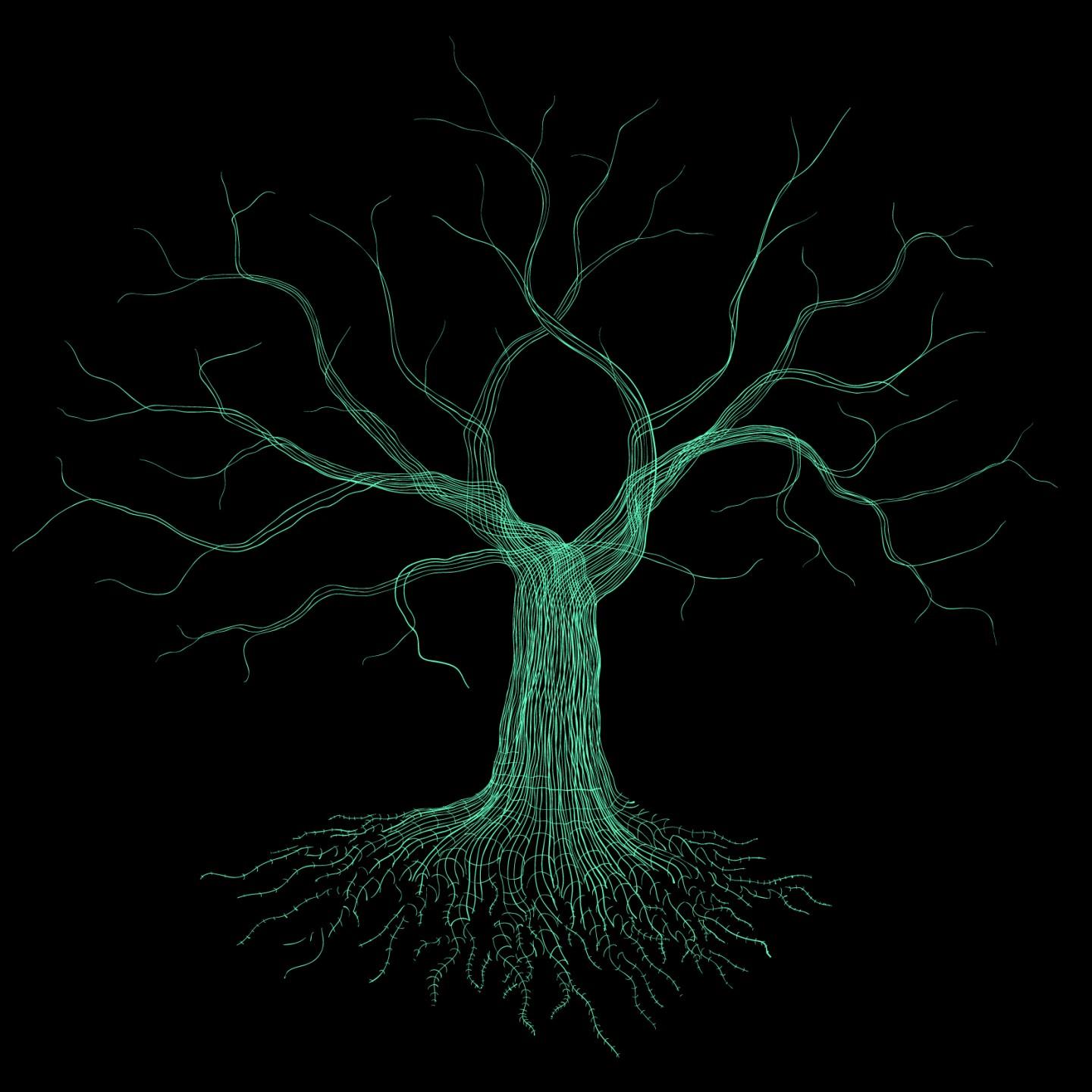 Virtual Forest Records