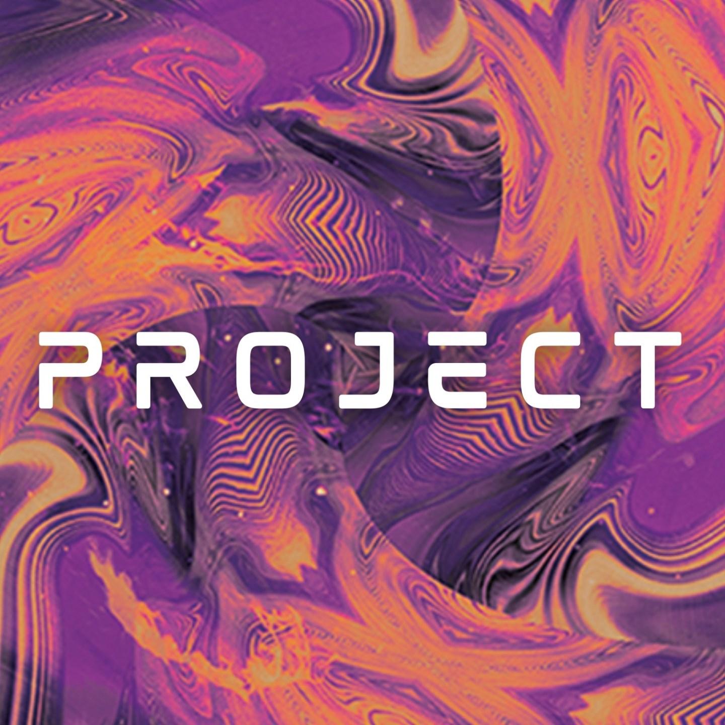 The Project Group