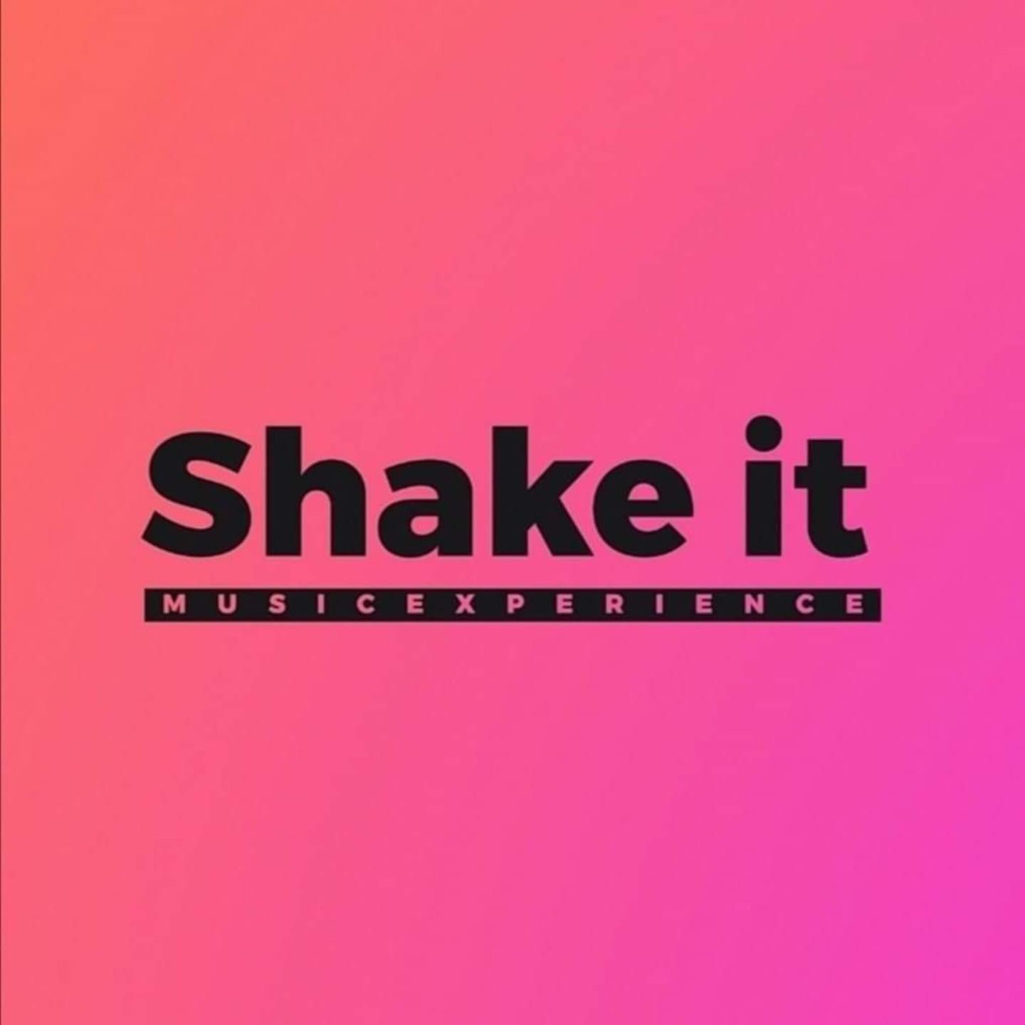 Shake It Music Experience