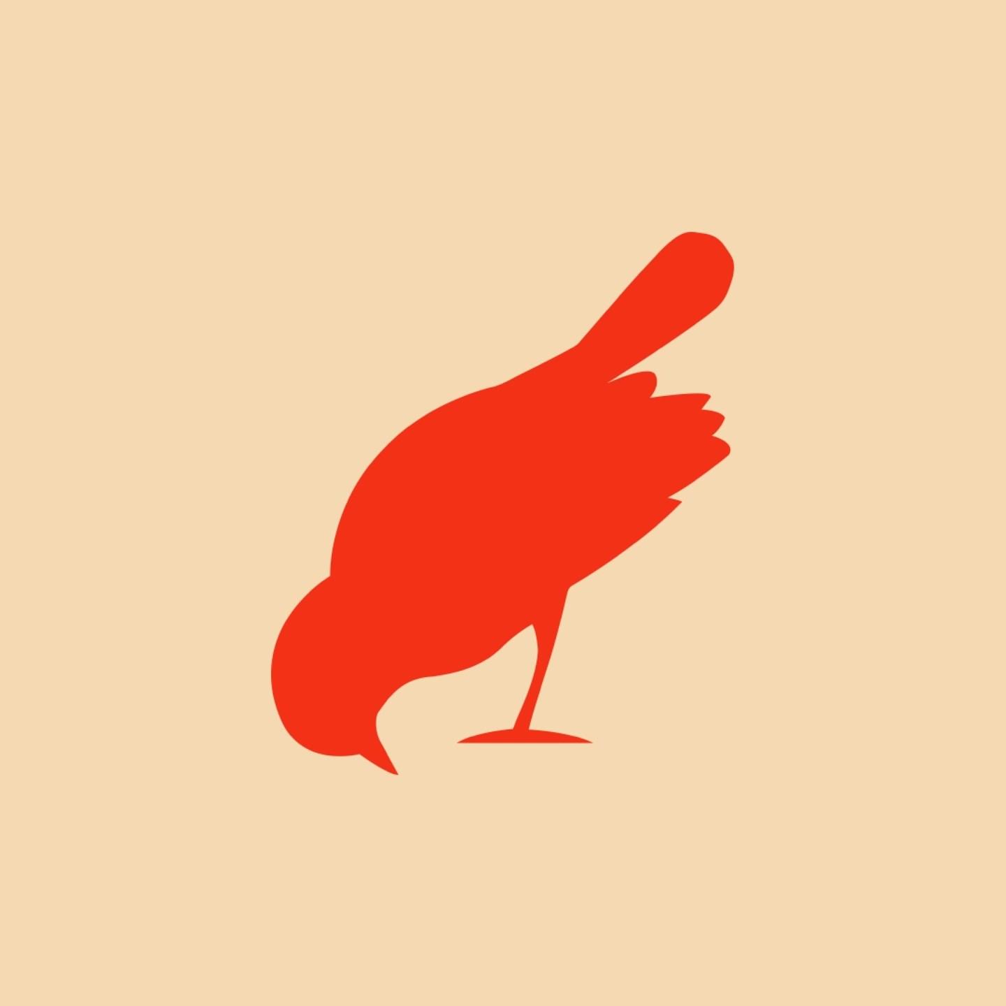 Bird On The Wire