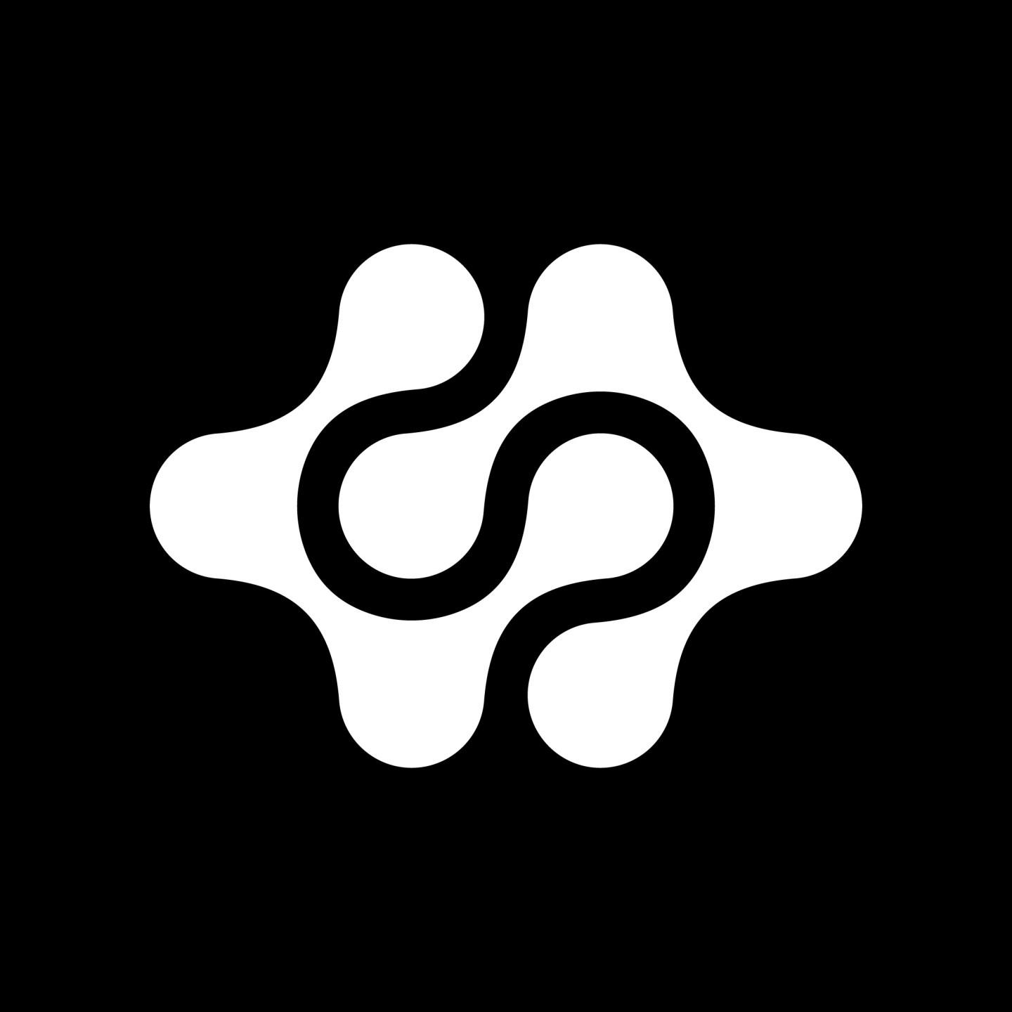 Confluenzefestival