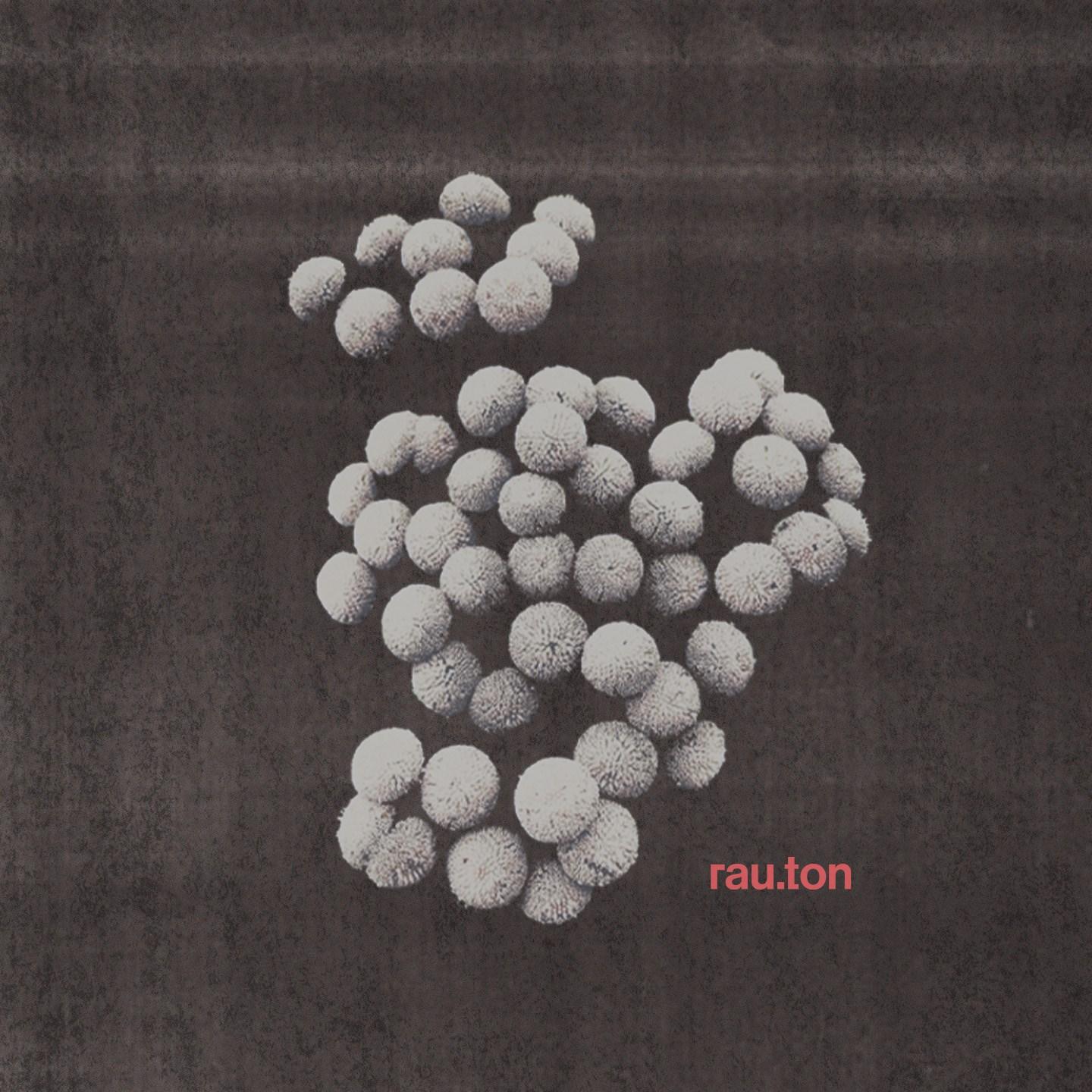 Rau.Ton