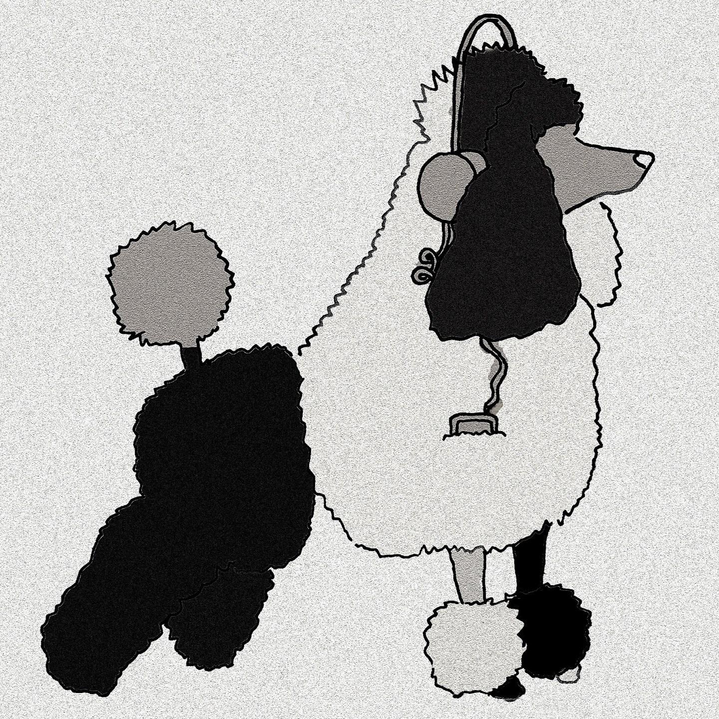 Fluff