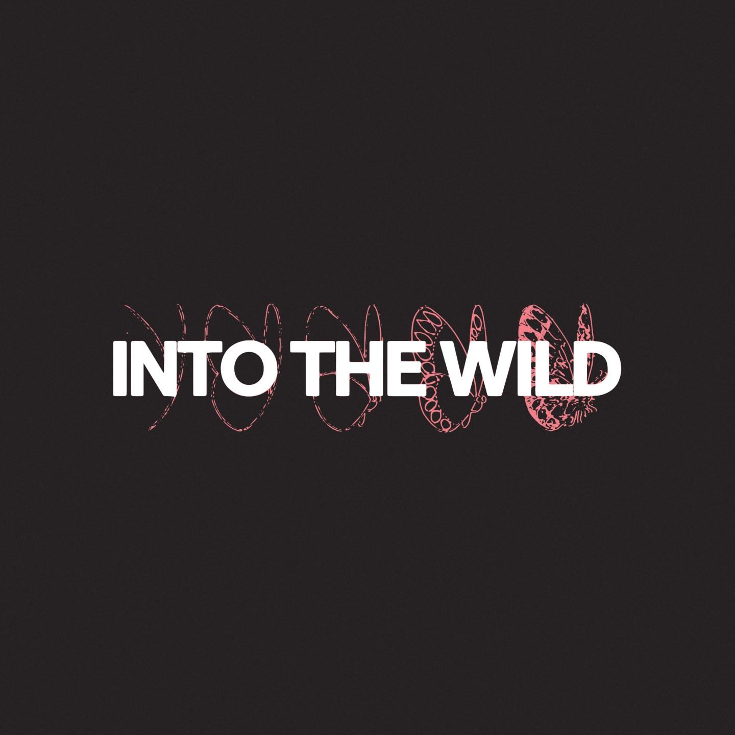 Into The Wild