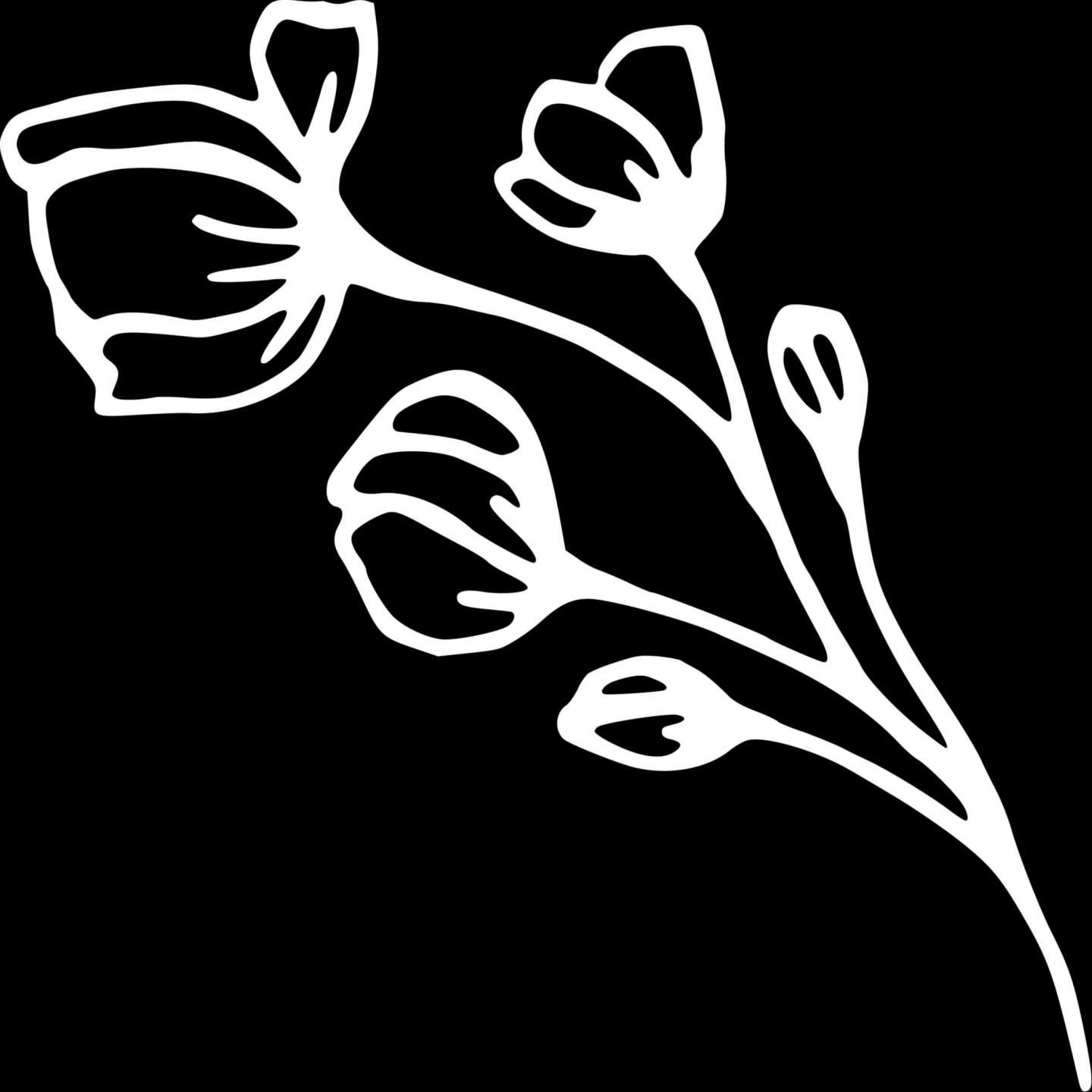 Garden Of Dreams Sarajevo