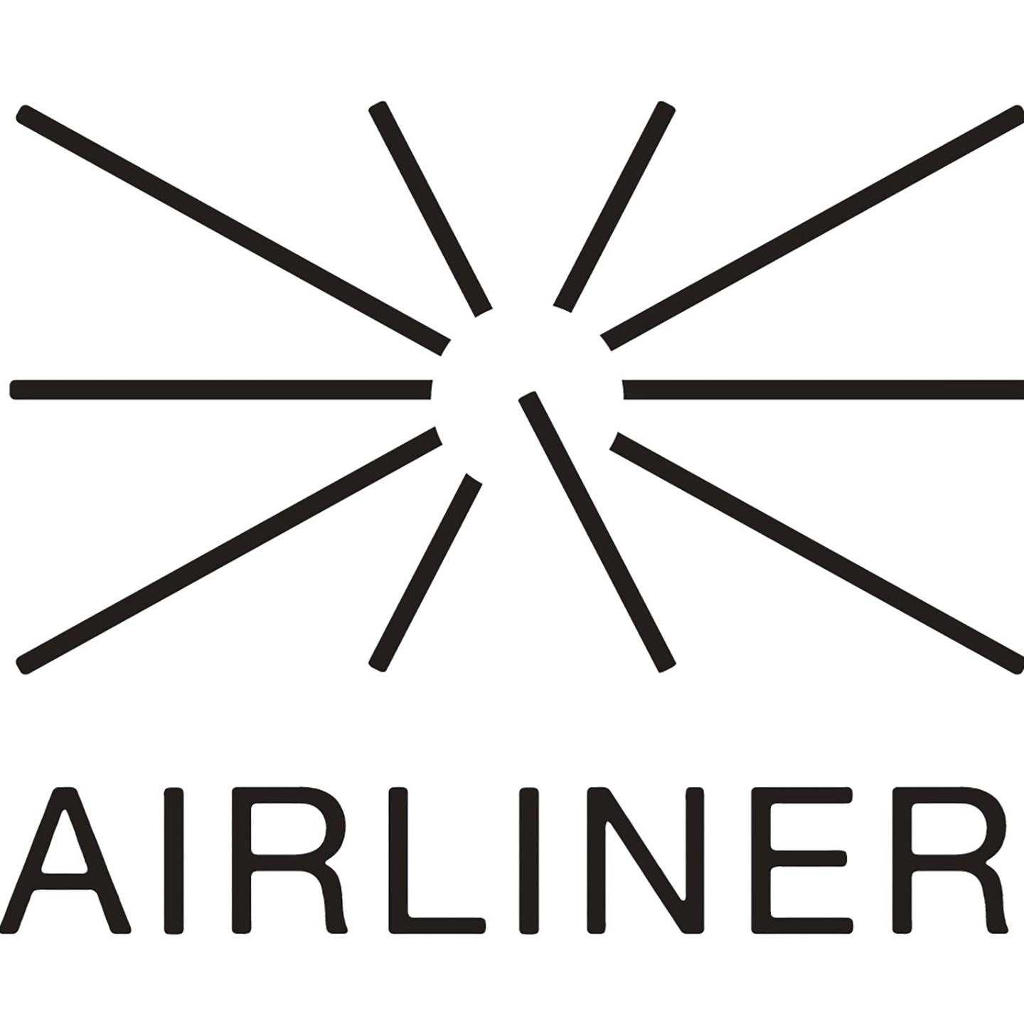 The Airliner